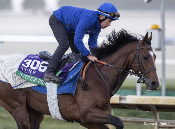 Daily Racing Form on Twitter: