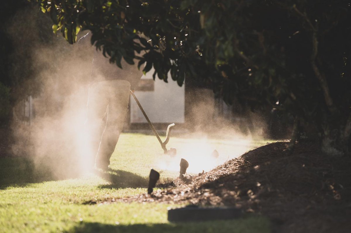 The spring buzz is upon us, can you feel it? 🌿
Our professional horticulture team is ready to curate and care for the landscape you’ve been dreaming of. We can’t wait to hear from you!
985-327-7757 | willowgrovelandscape.com
#Willowgrovelandscape #horticulture #fullservice