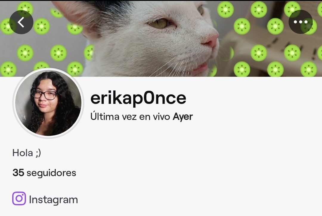 Haré un torneo por pase en mi canal de Twitch. Si alguien gusta apoyarme, es bien recibido. 

La fecha la tengo pendiente🐌

Si tienen alguna sugerencia, pueden comentarla <3