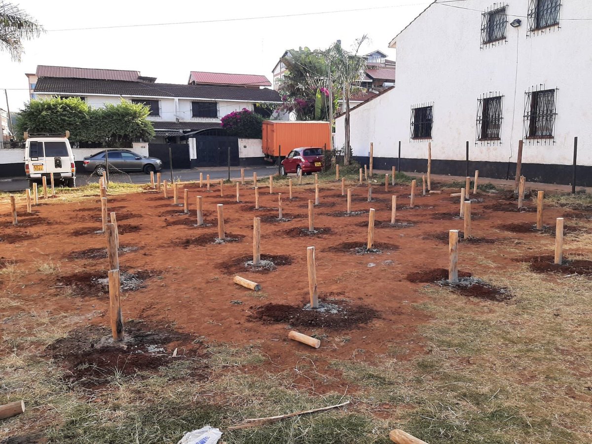 Ms Represented tweet media