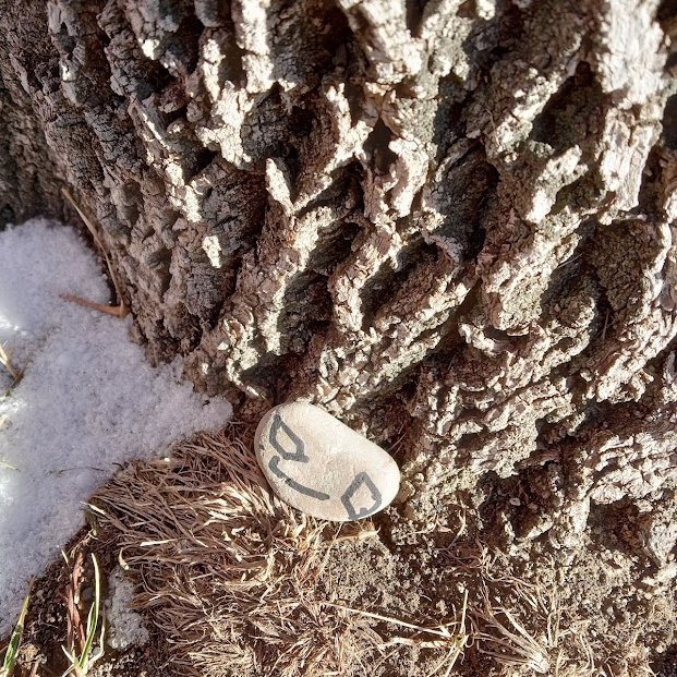 CormicanCrew's tweet photo. We hope our neighbours enjoy finding these little treasures and that they bring a smile to their face and love into their heart. https://t.co/HVTBaZCIuZ