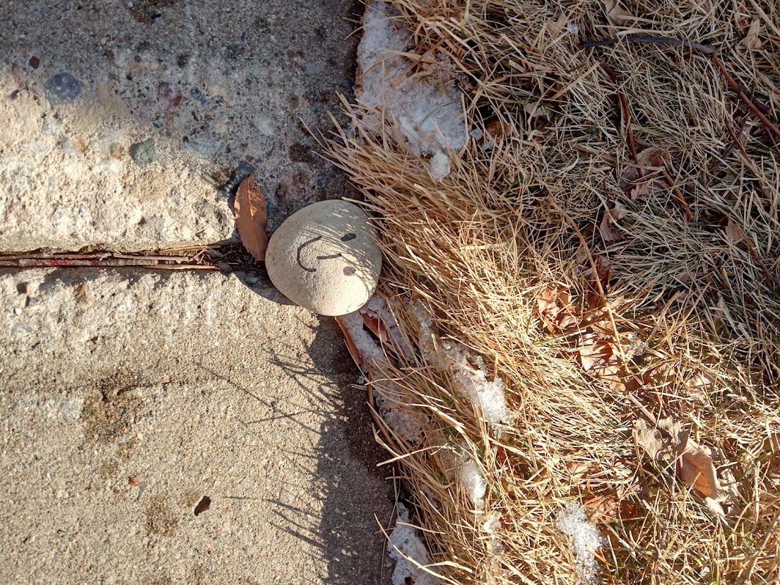 CormicanCrew's tweet photo. We hope our neighbours enjoy finding these little treasures and that they bring a smile to their face and love into their heart. https://t.co/HVTBaZCIuZ