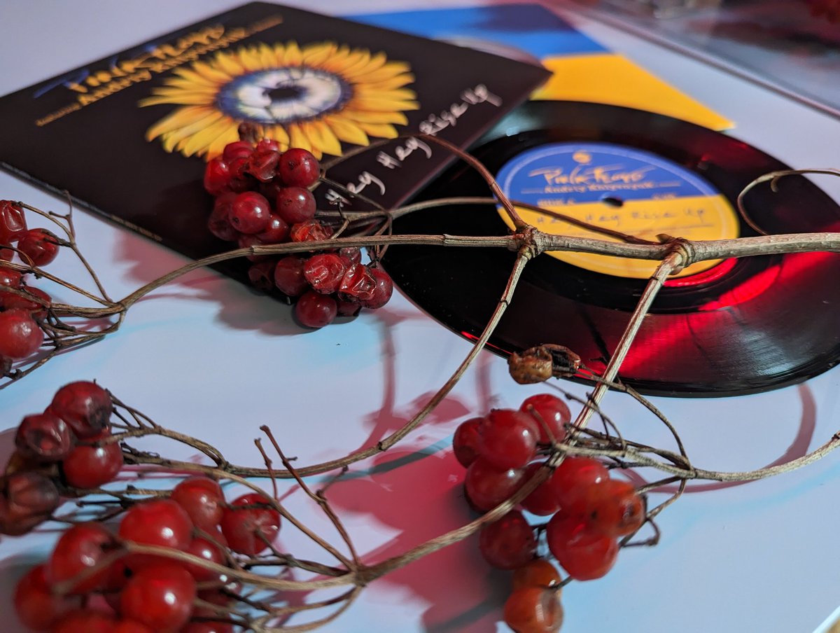 vigilcoma's tweet photo. Те, що піднімає мені настрій і силу духу
#vinylwednesday https://t.co/WwefRBEMsz