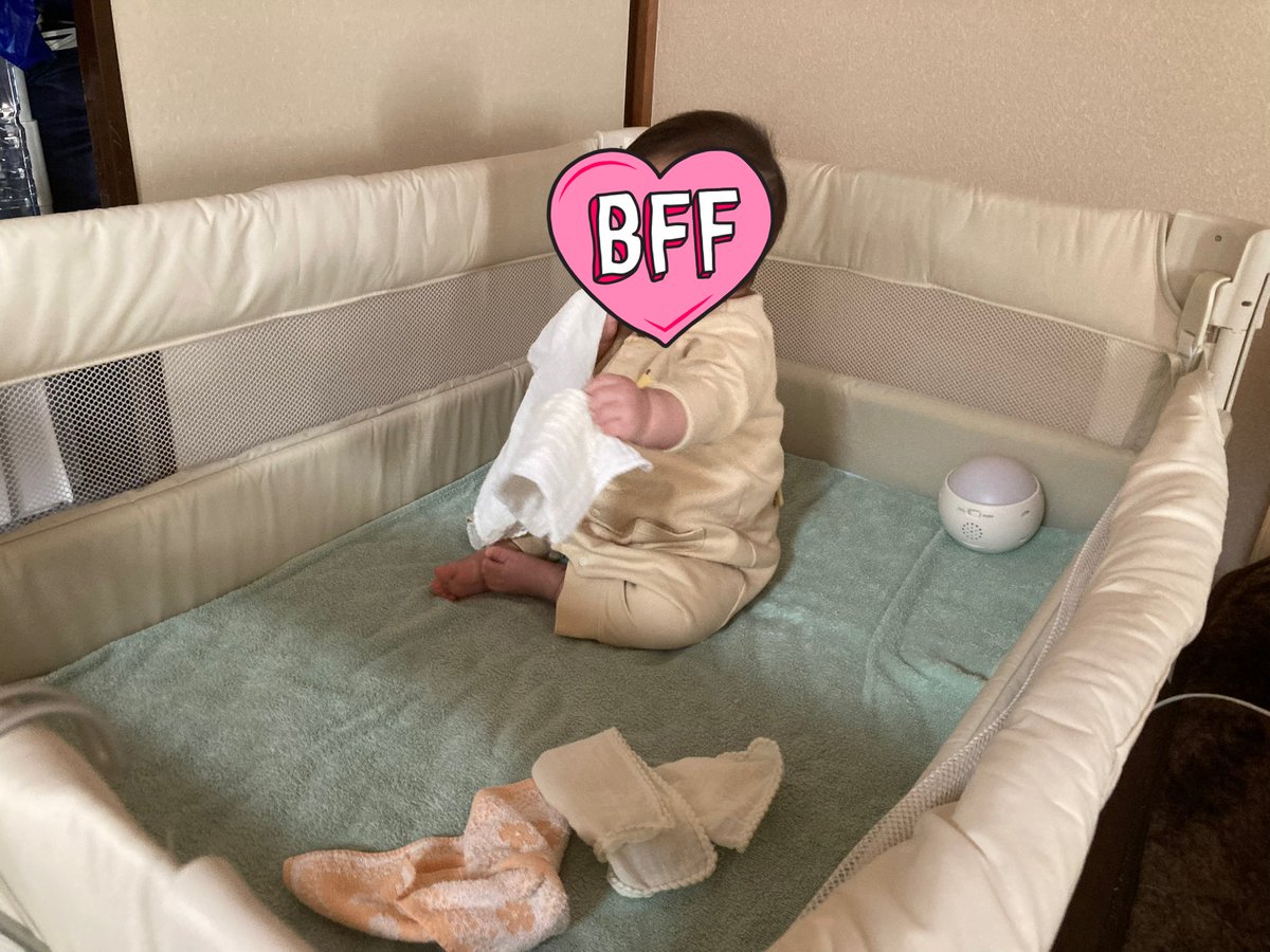 dl_zo6's tweet photo. @aqnebul 1枚目が7ヶ月、2枚目が8ヶ月の時です！つかまり立ち始めそうだったのもあって8ヶ月頃には使わなくなりました😑 https://t.co/j2giUN6GZk