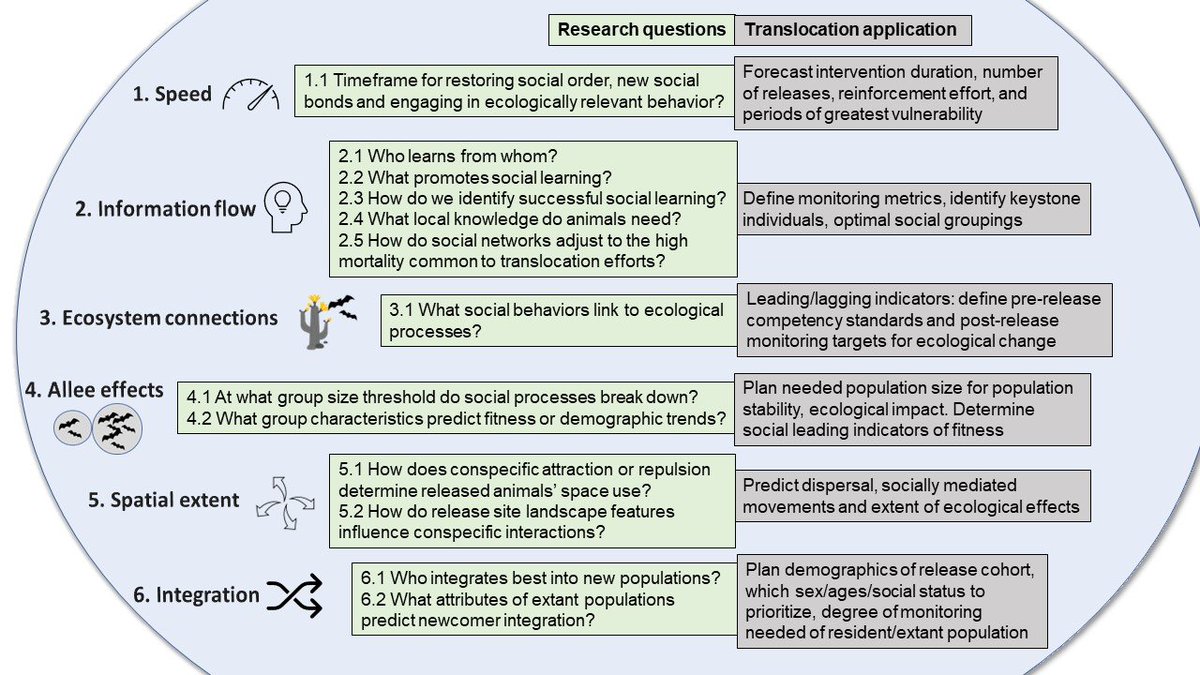 Dr Alison Greggor tweet media