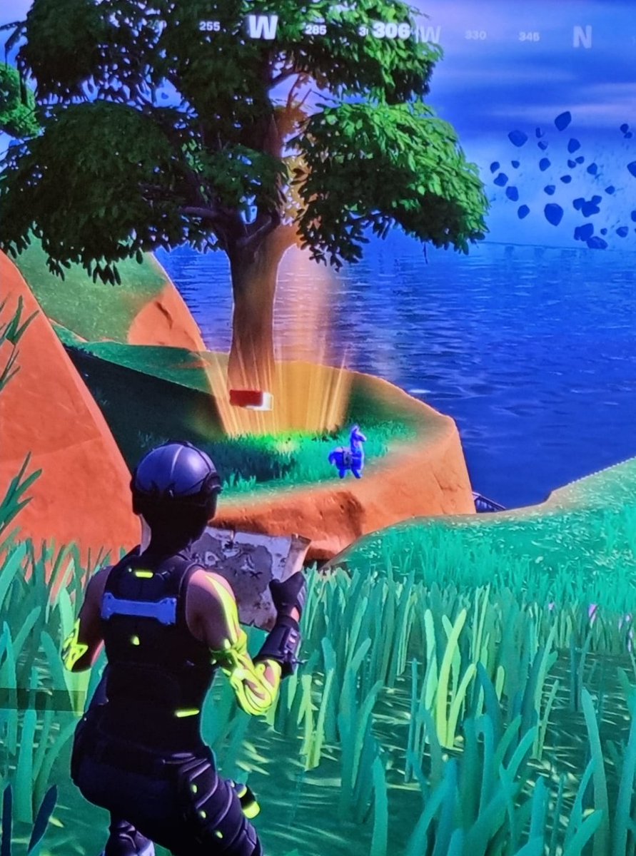 What are the odds
