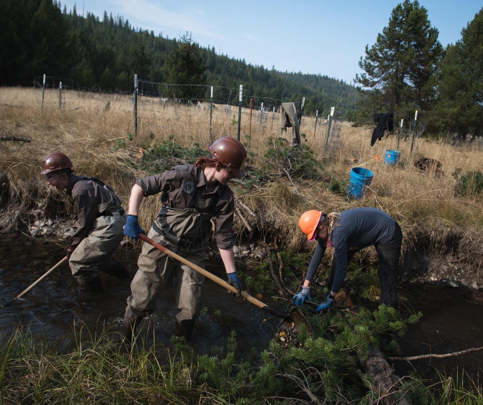 TroutUnlimited's tweet photo. In 2022, TU's Hand Crew restored over 3 miles of headwaters habit in NE Oregon by hand-building over 124 logjams &amp; structures replicating beaver dams &amp;planting countless willows in newly saturated floodplains. 

Learn more here! https://t.co/zhBgxw7zkH

📷@kholoodeid, @NatGeo https://t.co/8EYu95R6BP