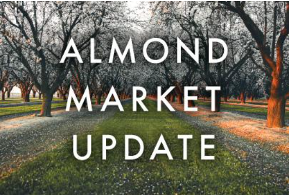 BenGoudie's tweet photo. https://t.co/fDgiEvlh4J
#wearebluediamond #almonds #sustainability #agriculture #markets https://t.co/AlyRVyhZPh