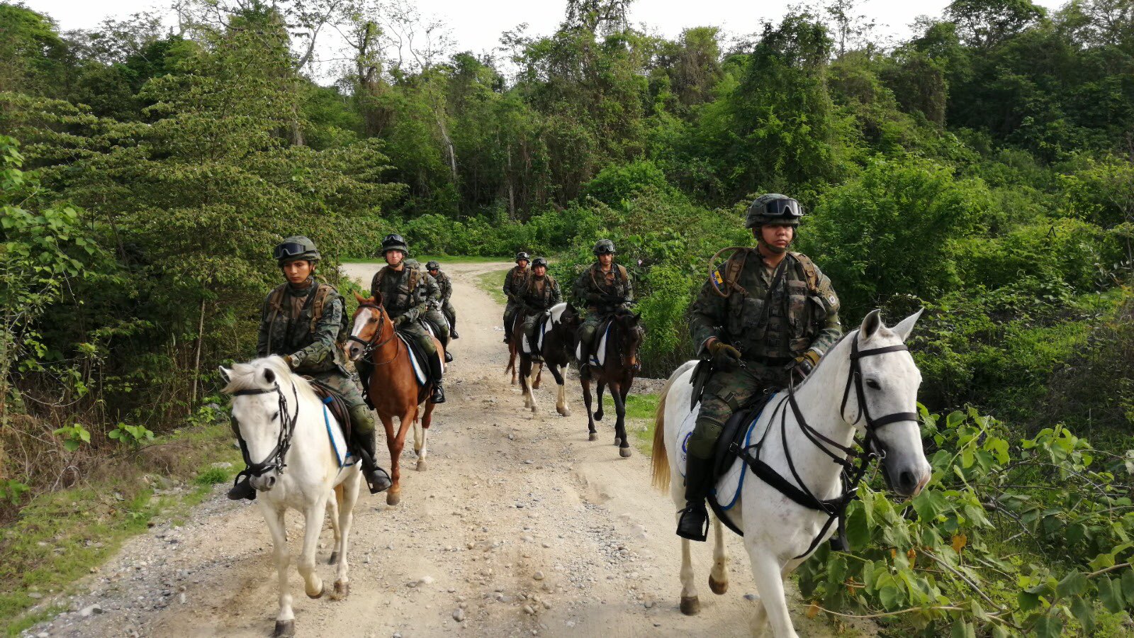 httpspbstwimgcommediaFpDDhPaWAAMHB5Mformatjpgnamelarge