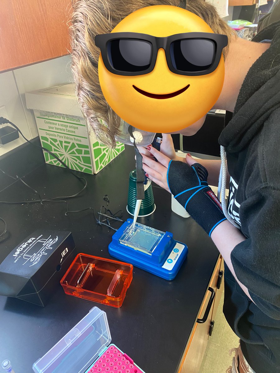 waggybioteacher's tweet photo. Today we did our Gel Electrophoresis Lab from @miniPCR that I received through my @RRISD_PIEF grant! The kids had so much fun and they did a great job loading the gels. @ECHS_RRISD #biology #minipcr #handsonscience https://t.co/whKDMNodJc
