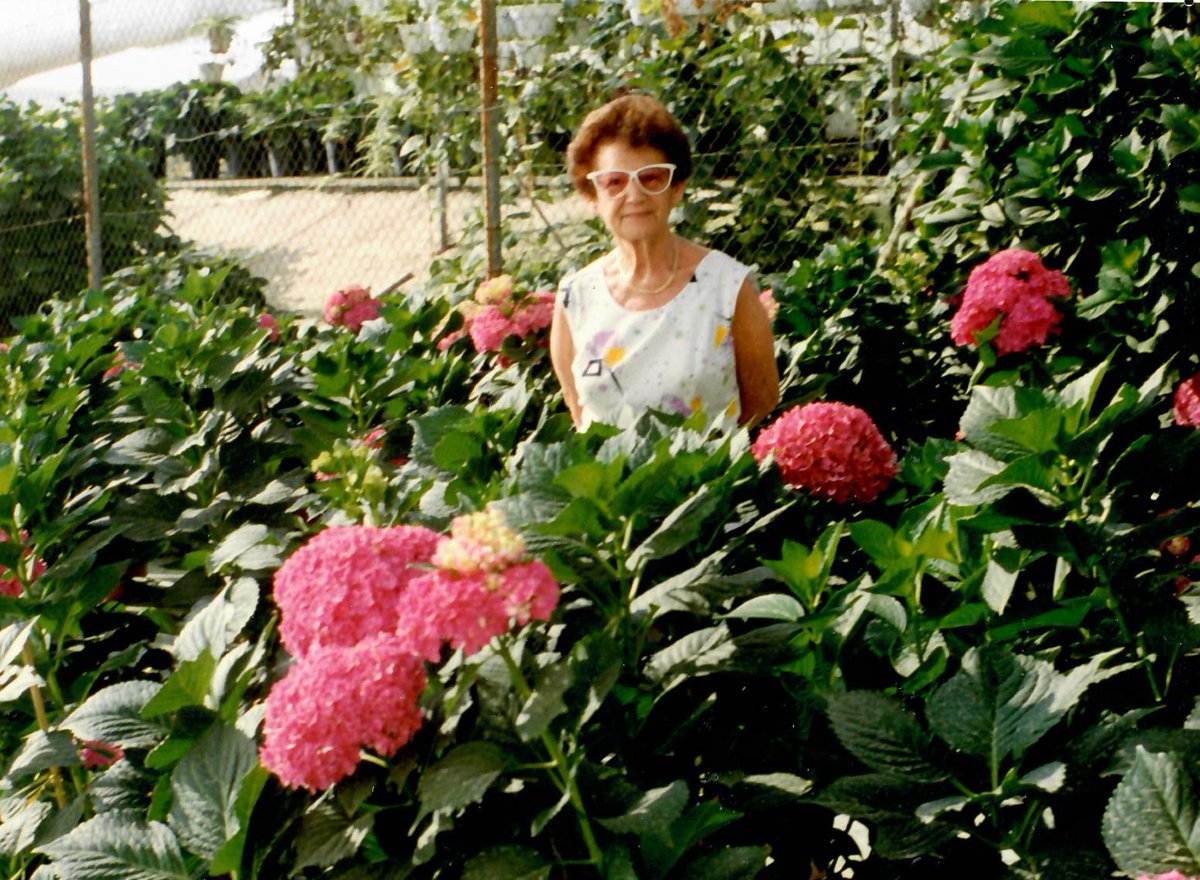 mikloshvanEgan's tweet photo. My Mother.
Finally Recognized by #Israeli🇮🇱 Government.
As a Leader of Jewish Underground in Eastern Europe🇭🇺
Helping Untold number of Jews, to Escape the {#WEF} "Klaus"
And her Husband🇦🇹🇨🇿my Father, Did the Same,
Emigrated to Palestine🇮🇱 1 year before her. https://t.co/3VDwLonxdh