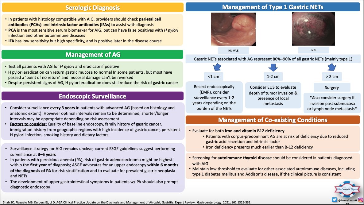 🔥🔥 Emoroid Digest 🔥🔥 Light blue crescent sign? White opaque field? Be sure to check out Dr. Vachaparambil’s (@CicilyVachaMD) visual summary of the @AmerGastroAssn clinical update on atrophic gastritis! Very high yield endoscopic pictures! #EmoroidDigest #GITwitter #MedTwitter