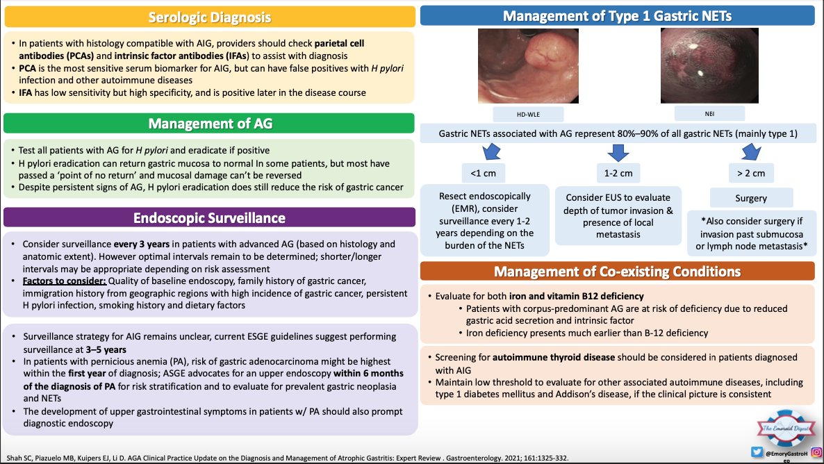 EmoryGastroHep's tweet photo. 🔥🔥 Emoroid Digest 🔥🔥
Light blue crescent sign? White opaque field? Be sure to check out Dr. Vachaparambil’s (@CicilyVachaMD) visual summary of the @AmerGastroAssn clinical update on atrophic gastritis! Very high yield endoscopic pictures!
#EmoroidDigest #GITwitter #MedTwitter https://t.co/dyVkGfB9K7