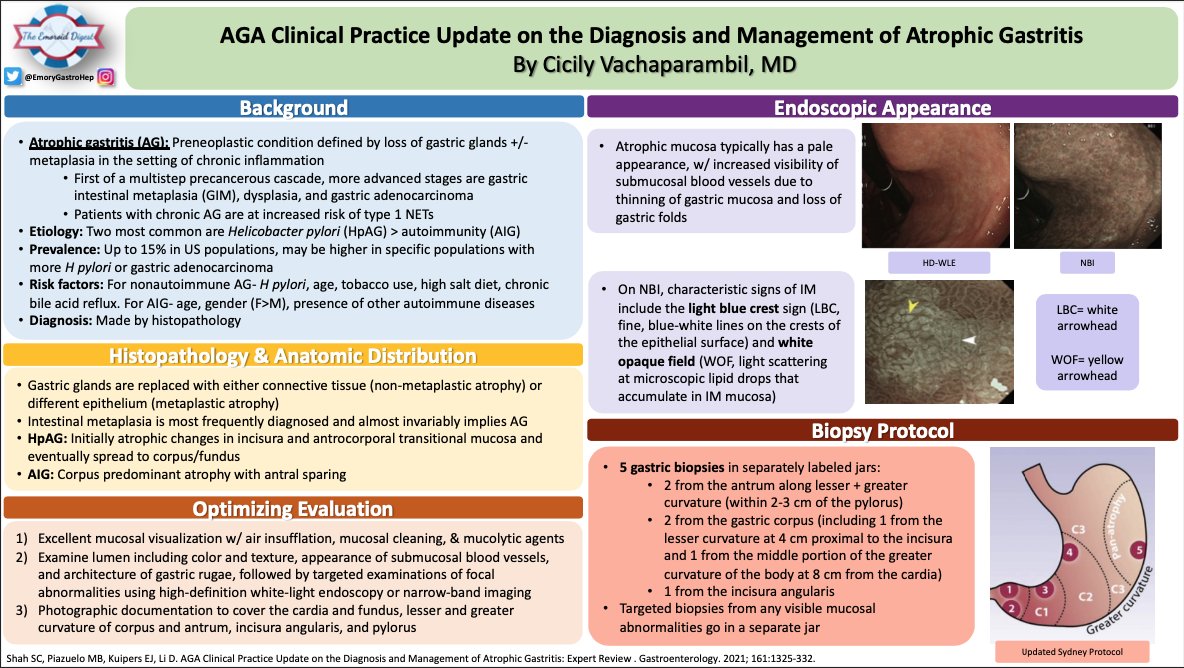 EmoryGastroHep's tweet photo. 🔥🔥 Emoroid Digest 🔥🔥
Light blue crescent sign? White opaque field? Be sure to check out Dr. Vachaparambil’s (@CicilyVachaMD) visual summary of the @AmerGastroAssn clinical update on atrophic gastritis! Very high yield endoscopic pictures!
#EmoroidDigest #GITwitter #MedTwitter https://t.co/dyVkGfB9K7