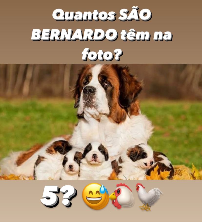 BrunnoElias's tweet photo. Duvido vcs acertarem essa!!!! https://t.co/habzct3g8e