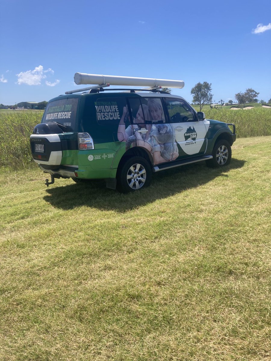 MRGCsuper's tweet photo. Something different this morning. One of our big Roos looked to have a broken leg. Thanks to wildlife rescue for coming to get the big boy so he can get the help he needs. https://t.co/zahB16x5J8