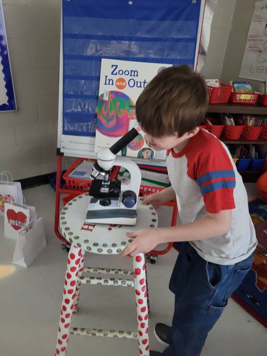 smith1st's tweet photo. This week during #SharedReading we are reading Zoom In and Out! We are zooming in to check out moth wings under a microscope! So fun! #mvesgainesville #firstgraderocks #sharedreadingkit #FountasandPinnell https://t.co/Vw1bUD9bHE