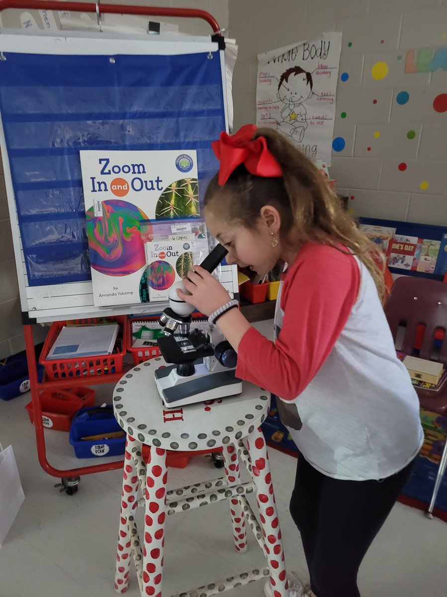 smith1st's tweet photo. This week during #SharedReading we are reading Zoom In and Out! We are zooming in to check out moth wings under a microscope! So fun! #mvesgainesville #firstgraderocks #sharedreadingkit #FountasandPinnell https://t.co/Vw1bUD9bHE