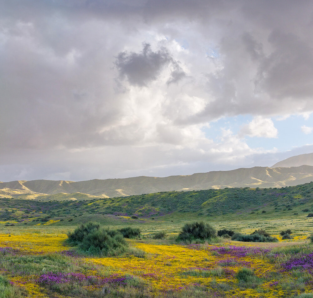 Stephen Johnson tweet media