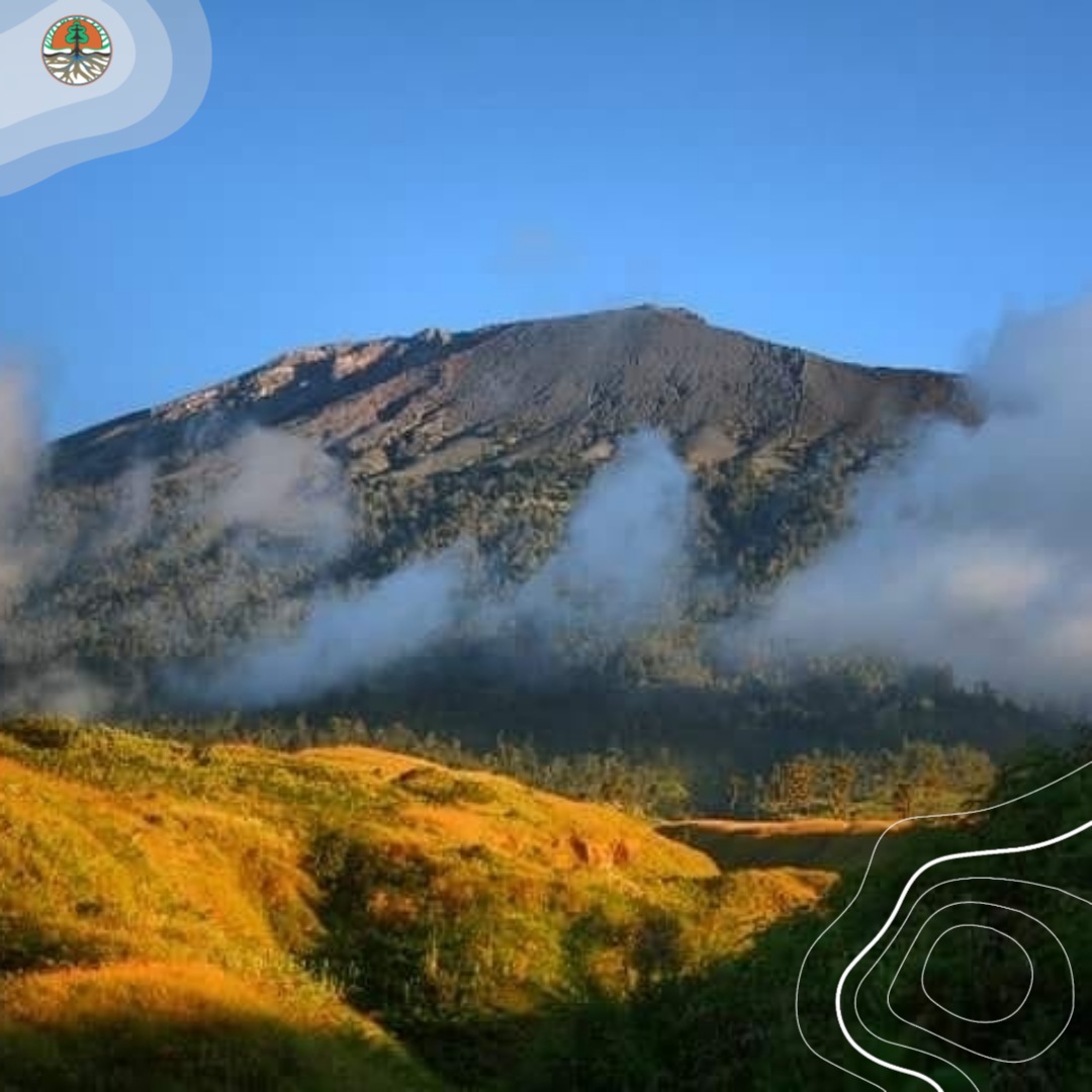 Kunci kenikmatan itu hanya satu, tak perlu melihat kenikmatan orang lain. 

Selamat Kamis pagi di tengah gerimis Sobat Hijau. Ada yang tahu ini di gunung mana Sob? 😇

#klhk
#Ayoketamannasional
#gunungindonesia 
#outdoor 
#adventure