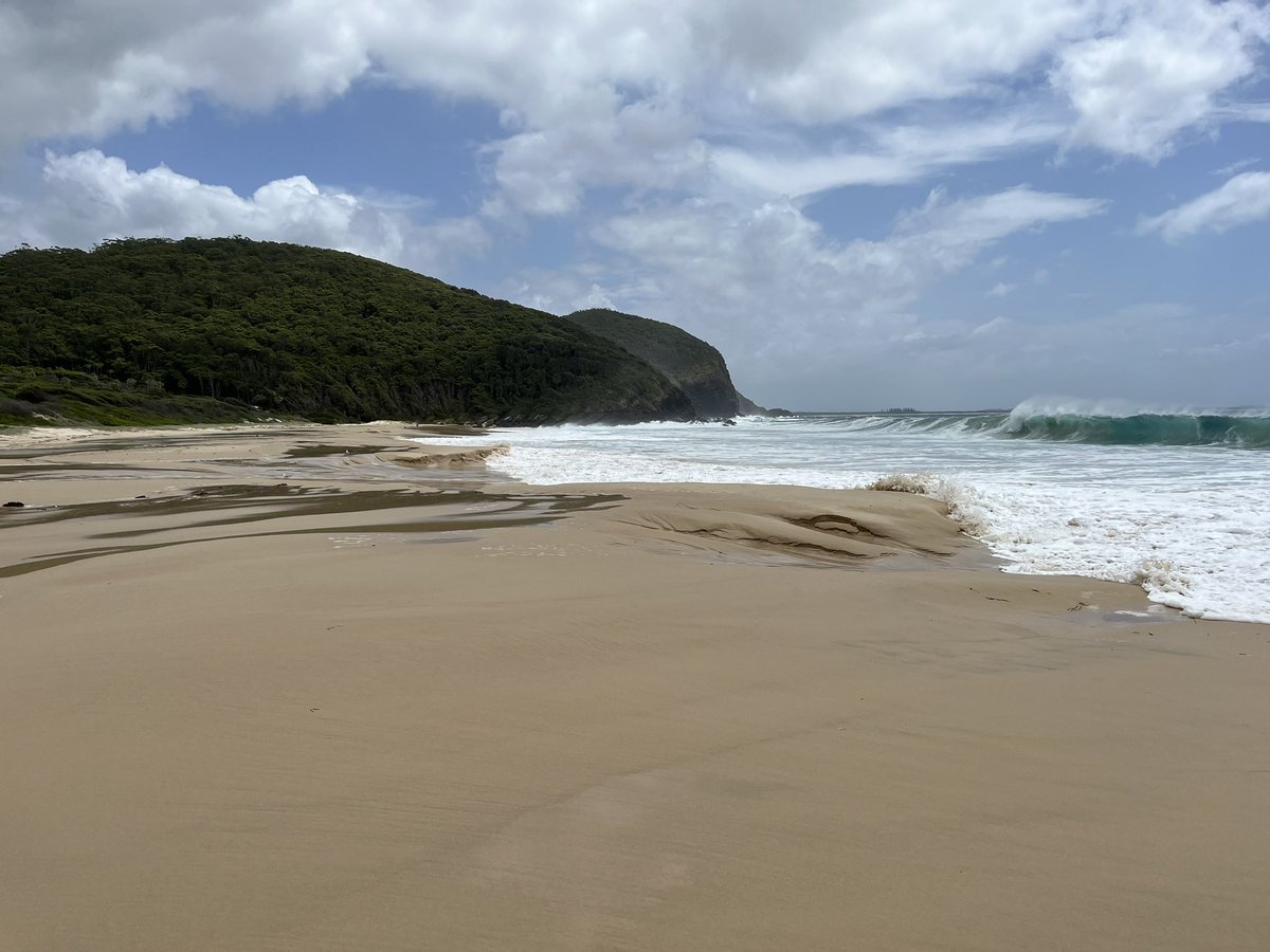 Mike Kinsela tweet media