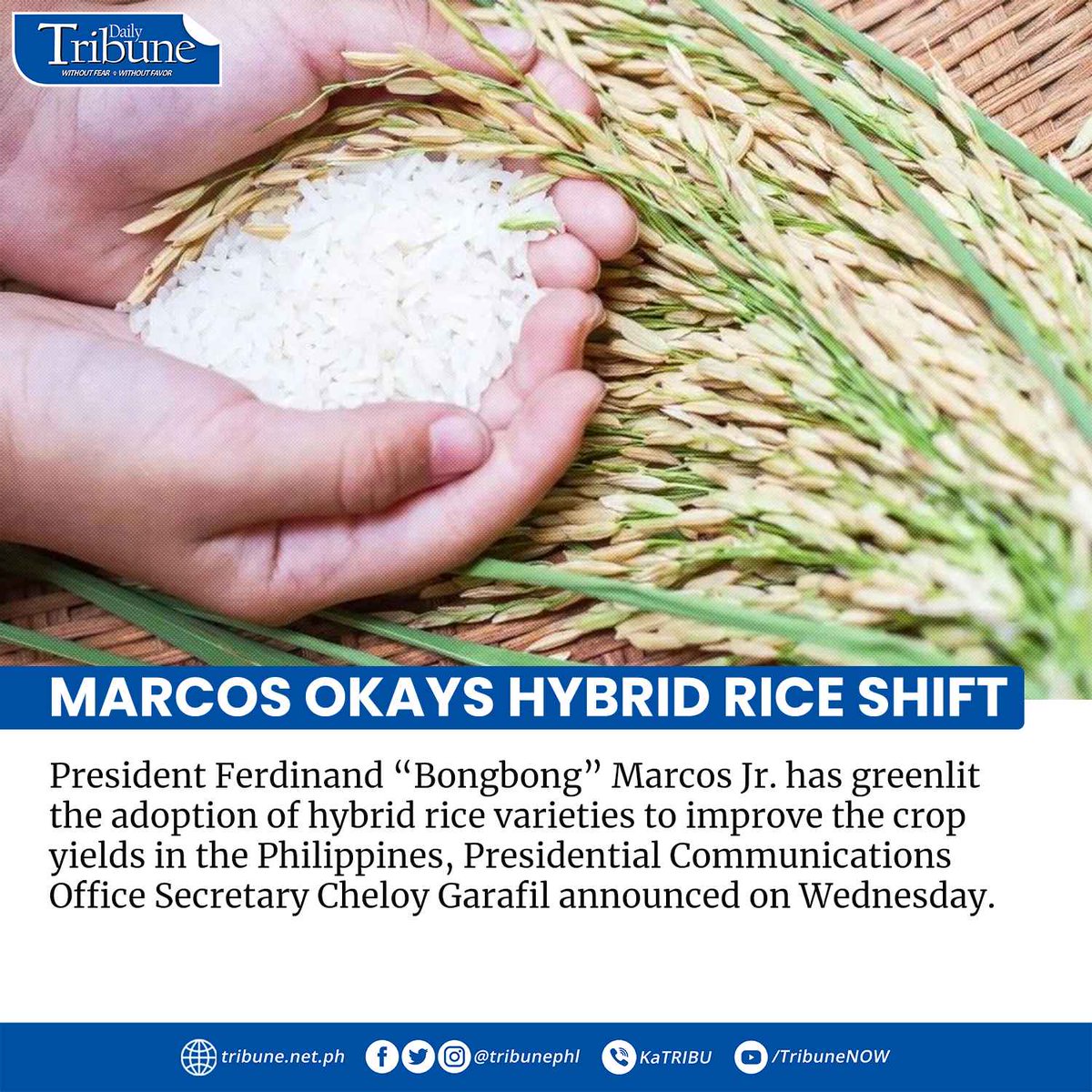 Daily Tribune on Twitter: 