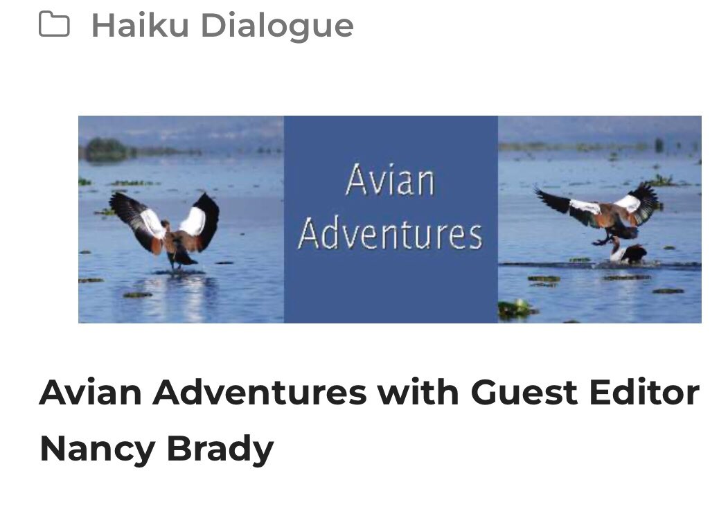 Delighted to be in The #HaikuFoundation’s #HaikuDialogue today on #AvianAdventures - #Diversity. 

birding—
matching the beaks
with the names

Grateful to be in the #EditorsChoice with commentary by Nancy Brady. Grateful to her, Lori & Managing Editor kj. Congratulations to all.