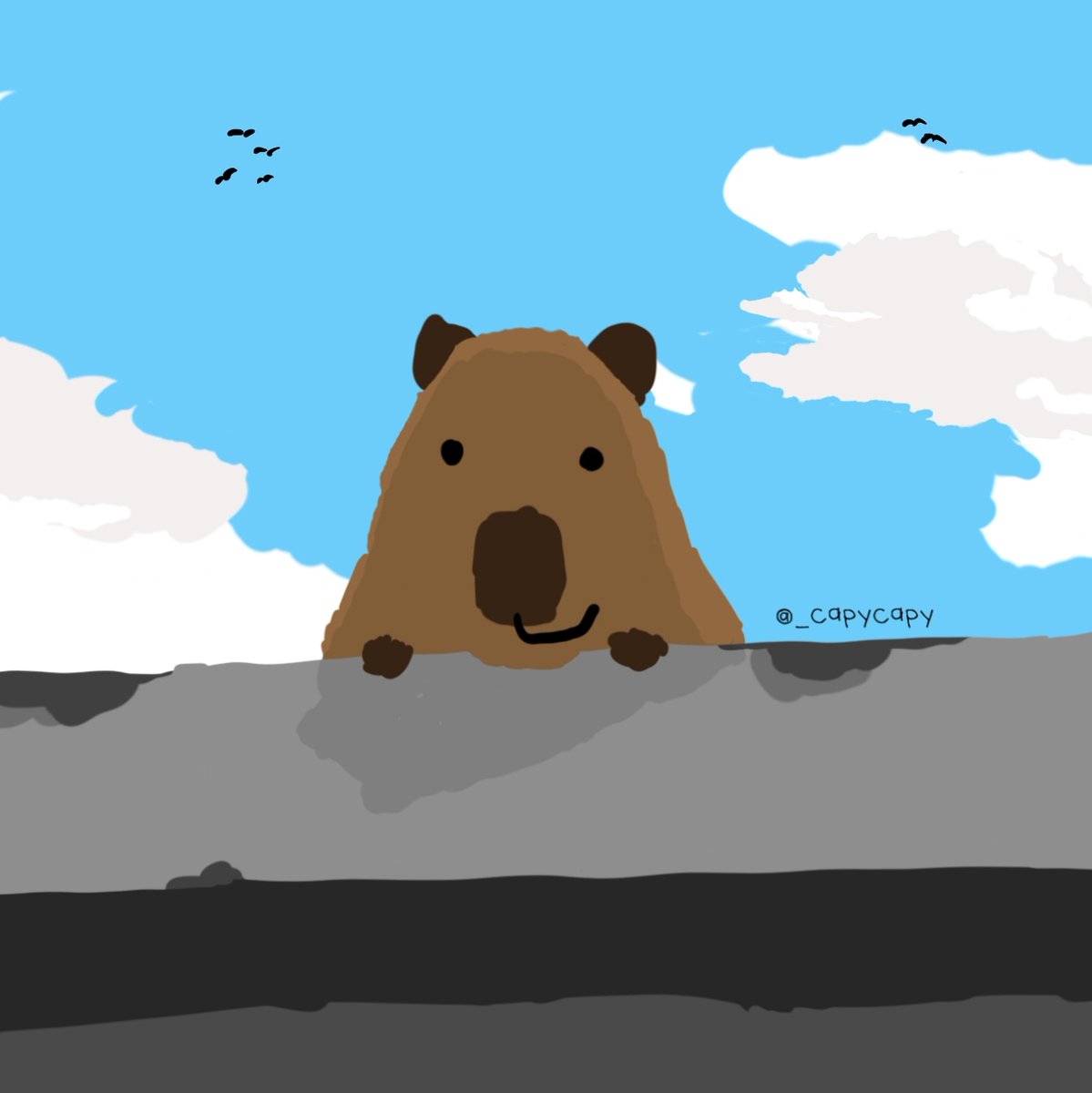 capy_capybara (@_capycapy) / Posts / X
