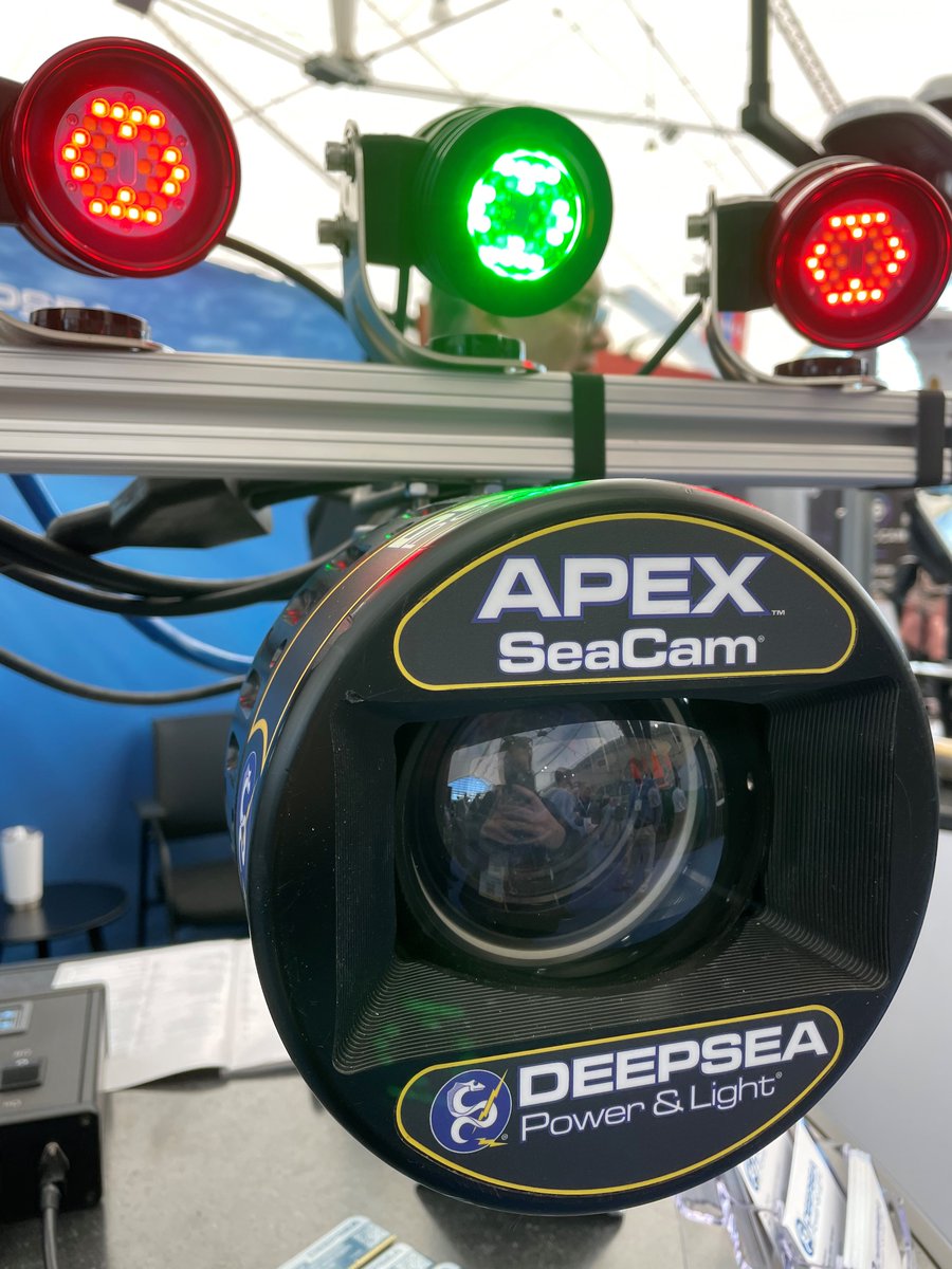 DeepSea_PL's tweet photo. It's our 40th Anniversary! For our #OiA display we have our LED SeaLites dressed in ruby red to help us celebrate. We've also made a series of rulers with a pressure/depth converter and a unique deep-sea specimen, like this one w/a comb jelly.
#DeepSea40th #marinespecies #deepsea https://t.co/X8SrAeGC9V