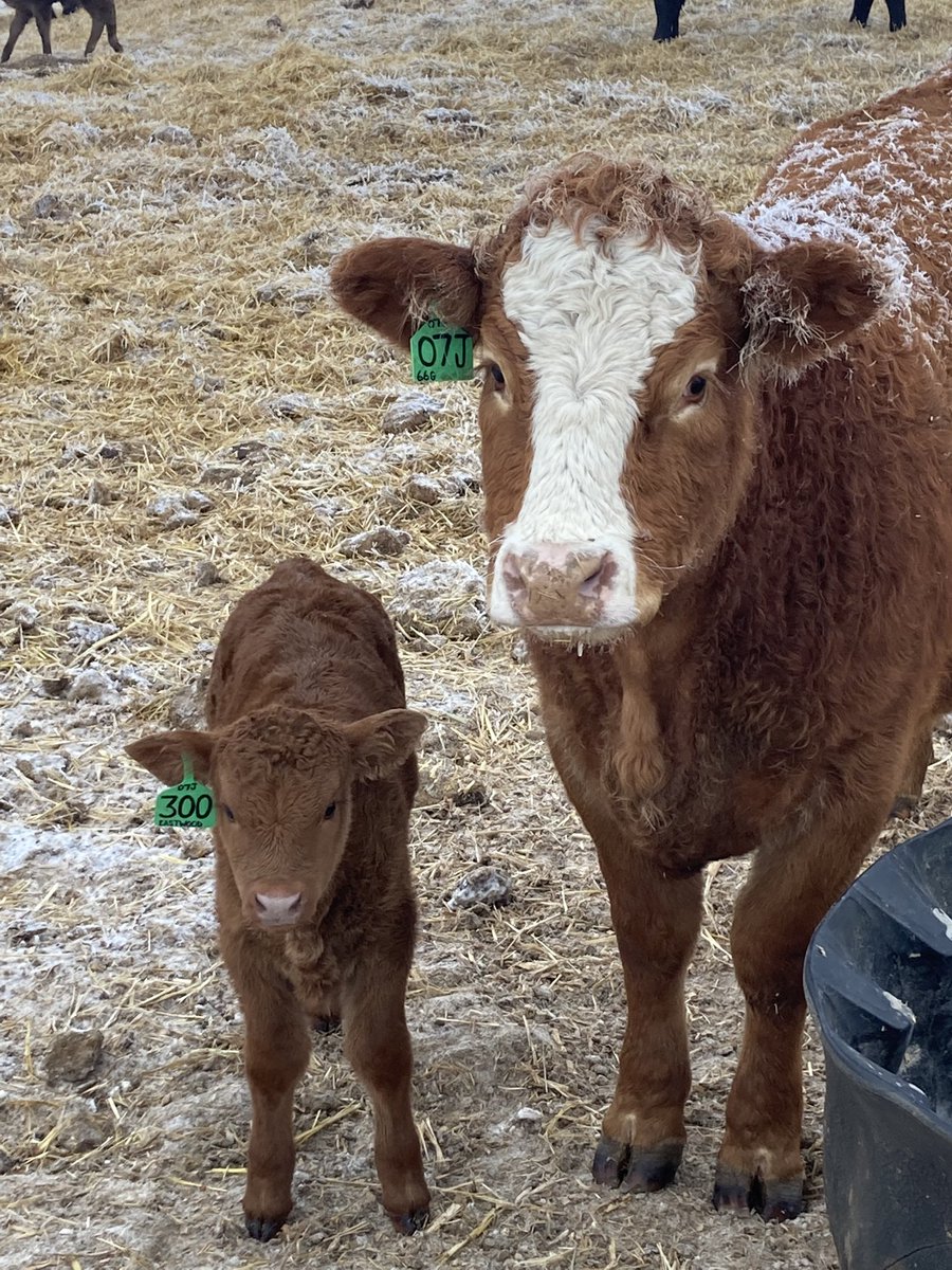 Happy #CdnAgDay