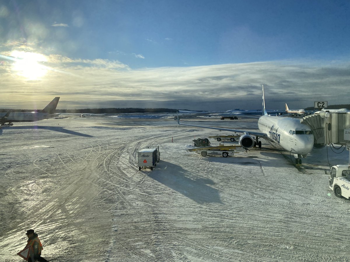 Omw home now from Kodiak, AK. Over the past week, I helped ADFG by surgically implanting satellite transmitters in 10 emperor geese. I also assisted USFWS by tending to the medical needs of a young bald eagle. Had a great time!