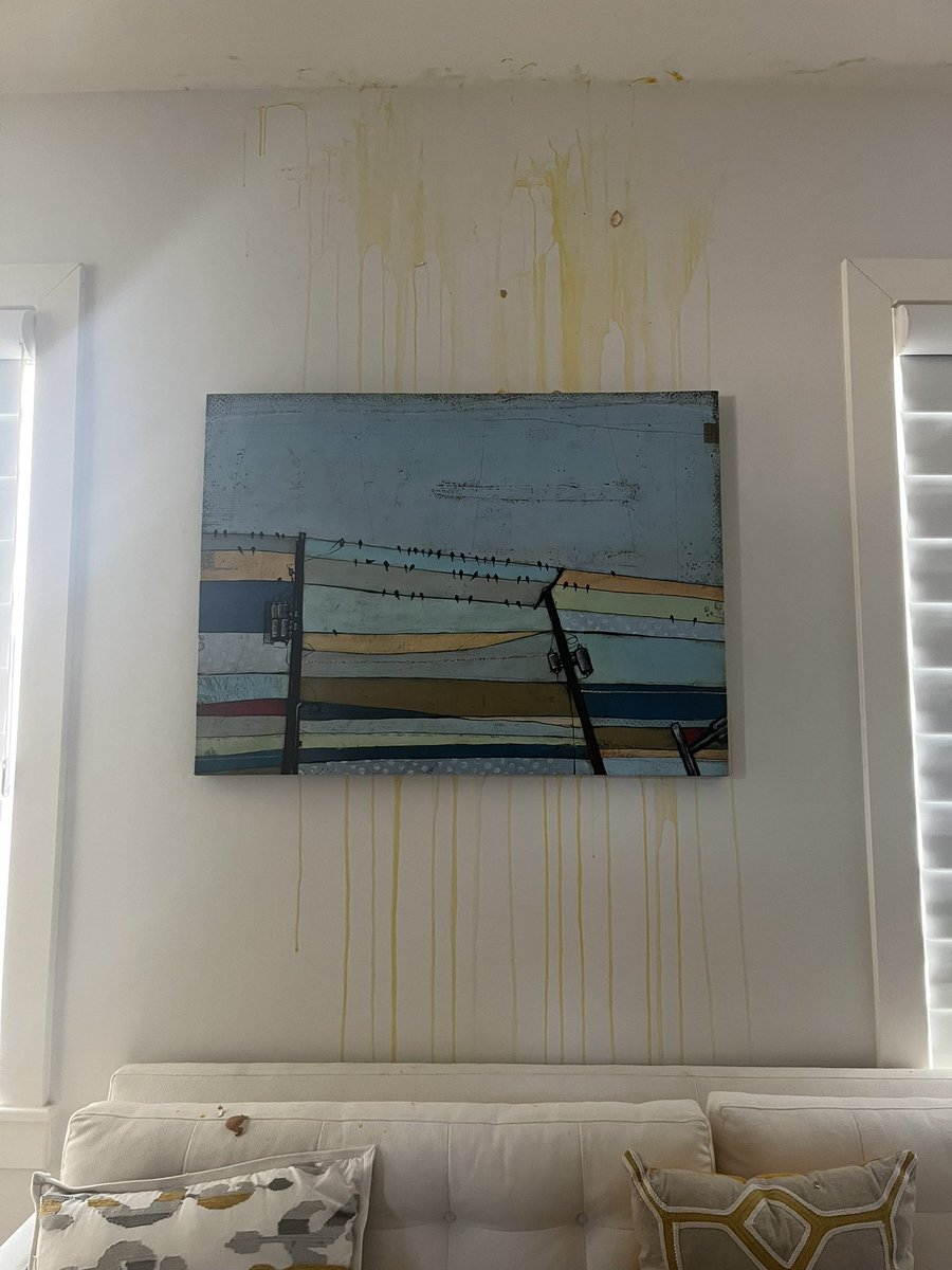 MeredithonFOX7's tweet photo. A “MANSION RAGER” trashed a family’s home in NW Austin while they were away. 
@TravisCoSheriff is investigating.

FULL STORY TONIGHT AT 9 @fox7austin. https://t.co/hzS0OJePJB