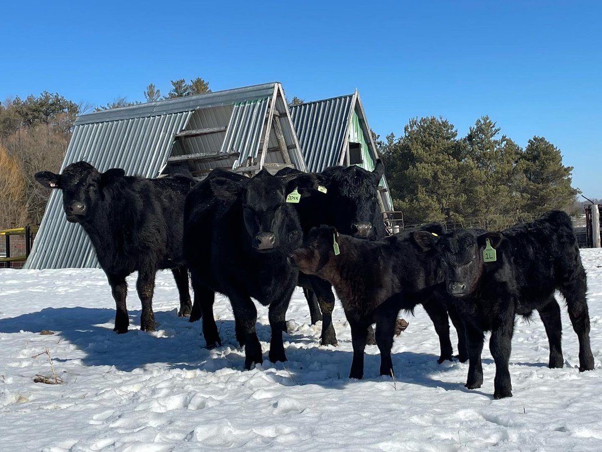 Happy Canadian Ag Day to all the growers, producers, and members of the agriculture industry!!#cdnagday2023