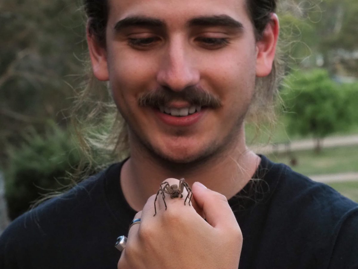 Tanya Plibersek tweet media