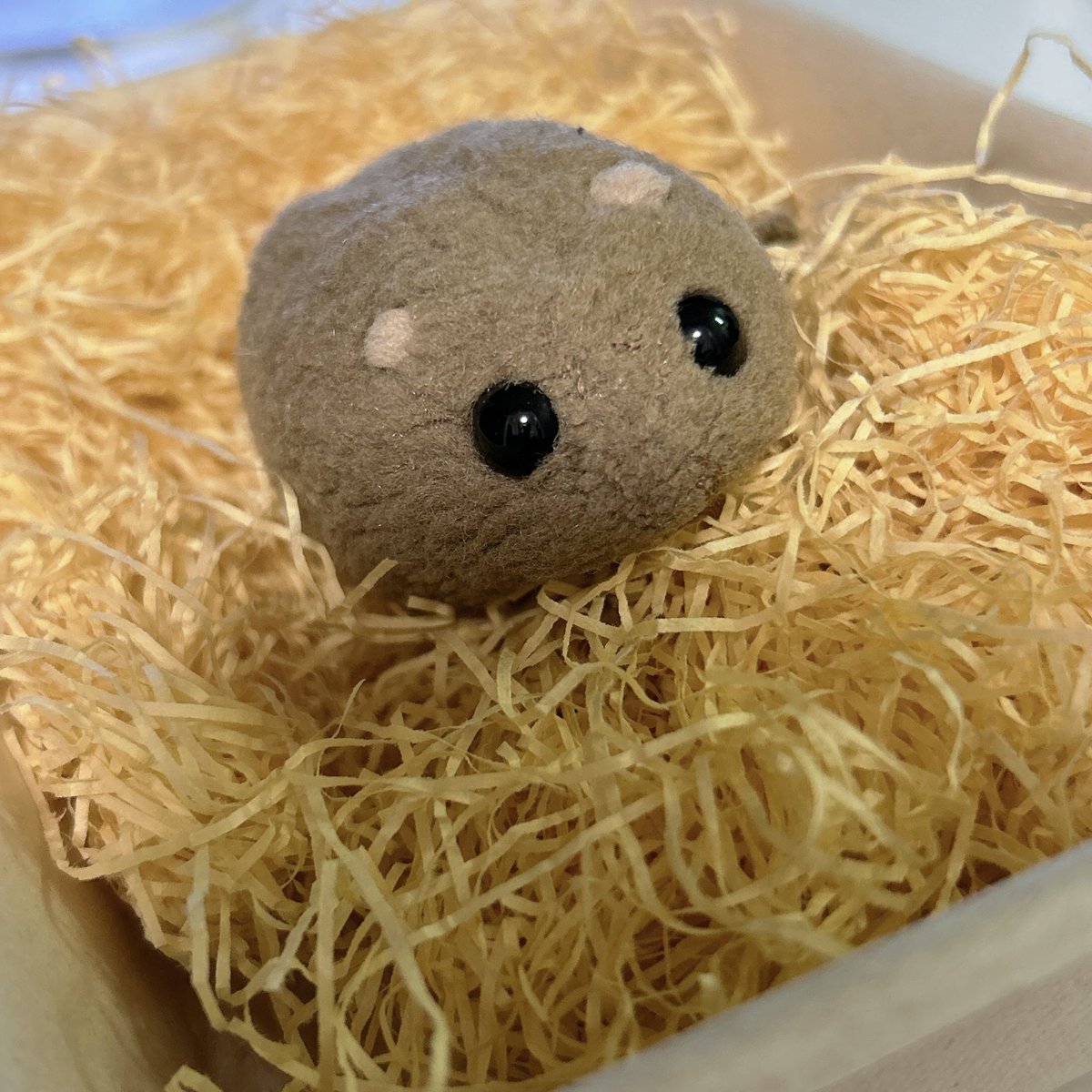 ᕱ⑅ᕱTomomelo❤︎°🐰🍚 tweet media