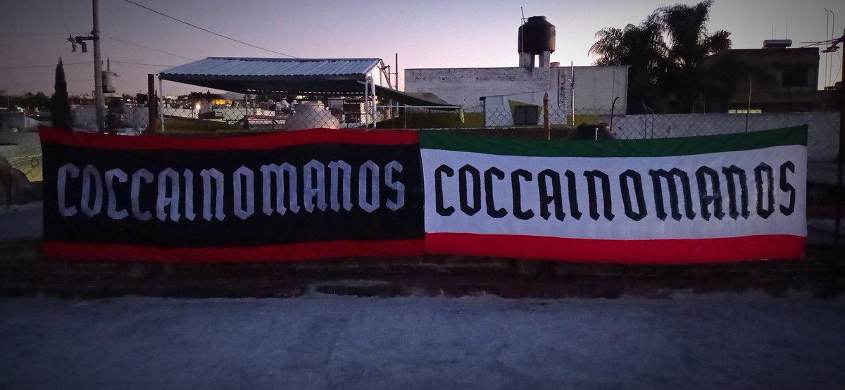 08socrates's tweet photo. Que la chupen los medios, Grupo Pachuca y los Tigueres.

Soldado de @Diegococca1 
#Coccainomanos https://t.co/38m0pxcZpX