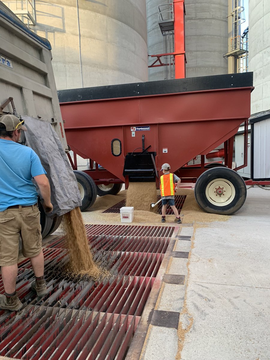 AshlinMann's tweet photo. Happy Canadian Ag day to all the other farm families out there!  #CdnAgDay  #futurefarmers #ontag https://t.co/4rdo2LrpzC