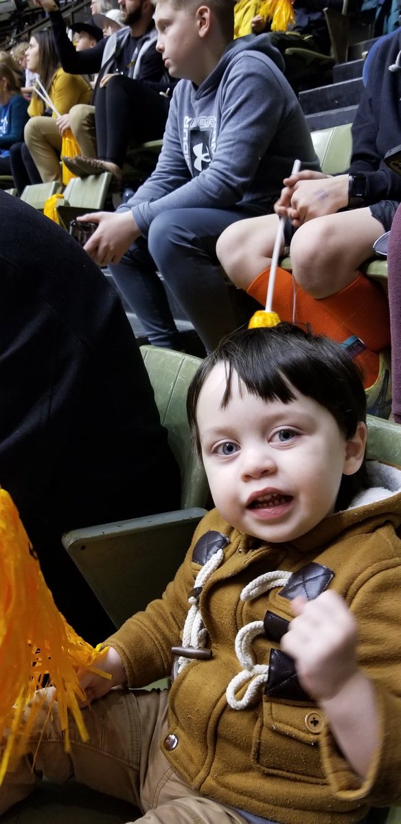 dennislarimer's tweet photo. Let's go Tigers!  #TIGERSTYLE https://t.co/yNOdjiWJSx