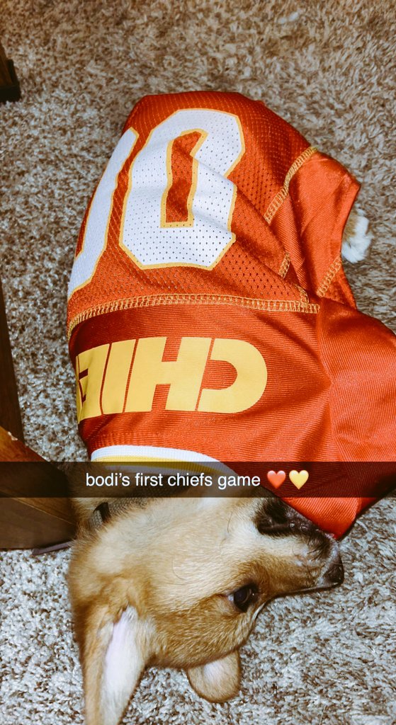 0xFynlee's tweet photo. Bodi had big weekends with lots of firsts! First Pupbox came in mail, first time meeting Tillie-cat, first time I let him play puzzles and first time hearing mom during Chiefs game! https://t.co/HWVvIyTEra