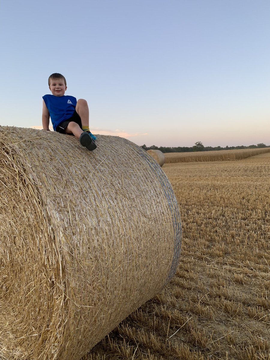 AshlinMann's tweet photo. Happy Canadian Ag day to all the other farm families out there!  #CdnAgDay  #futurefarmers #ontag https://t.co/34zfLVjfie