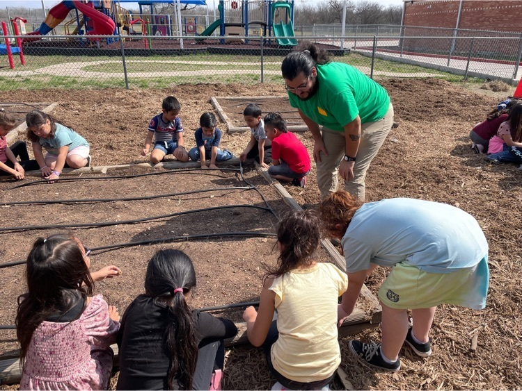 swisd_hcsa's tweet photo. 1st grade started their gardening journey 🪴 with Gardopia gardens! They worked to answer the question "what is a garden?" Every week they will explore a new topic in our  Discovery Garden! @swisd https://t.co/QEh90JlJyt