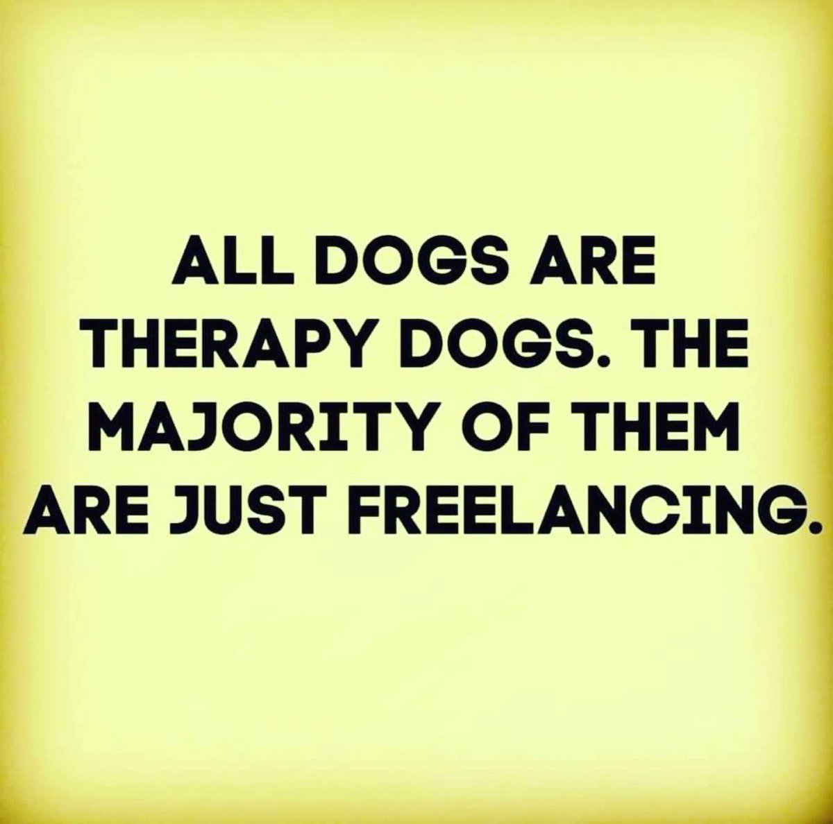pawsandthinkinc's tweet photo. I think we can all agree on this one! 😂 

#everypersoneverydog #therapydogs #pawsandthink https://t.co/u6v3vAJUKH