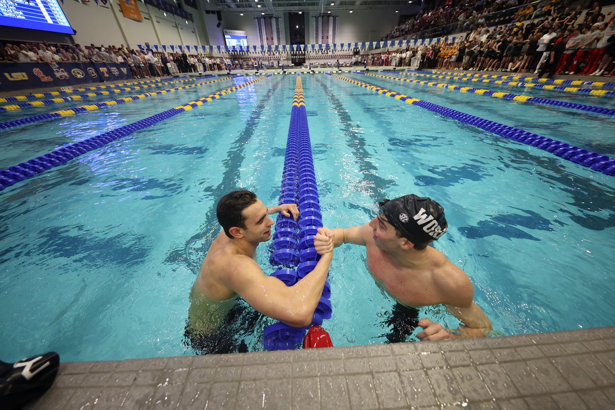 Texas A&M Swimming & Diving tweet media