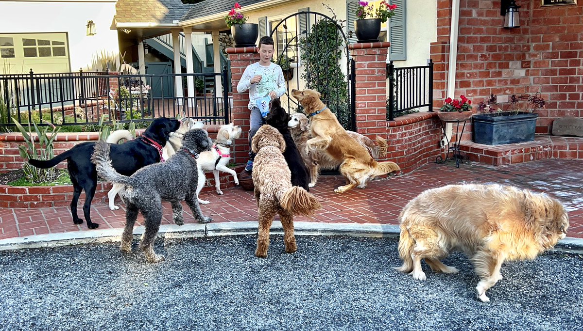 For the Love of Dogs🌹🌹🌹🥰 ️🐶 ️🥰🌹 on Twitter "RT producergirl My son