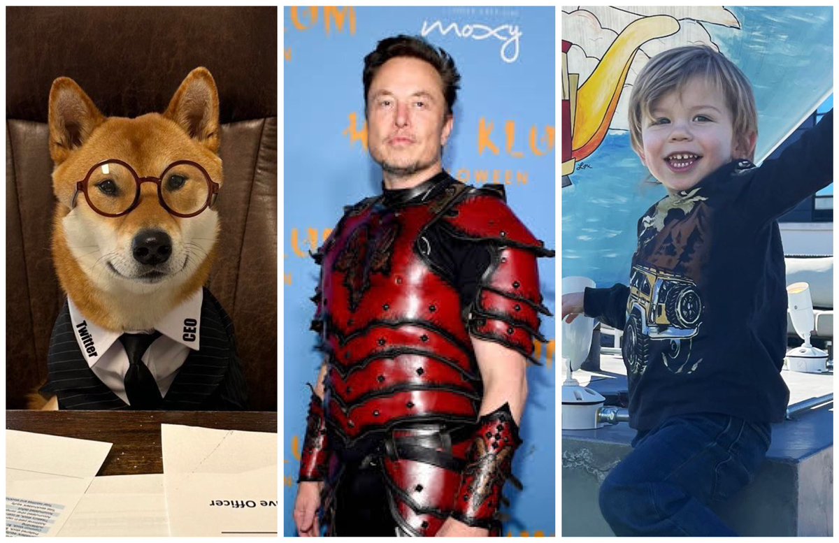 TDOGE lover tweet media