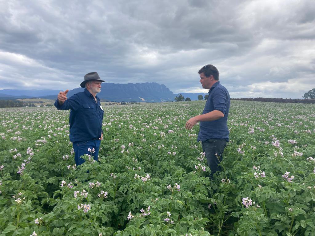 Johan Barendregt tweet media