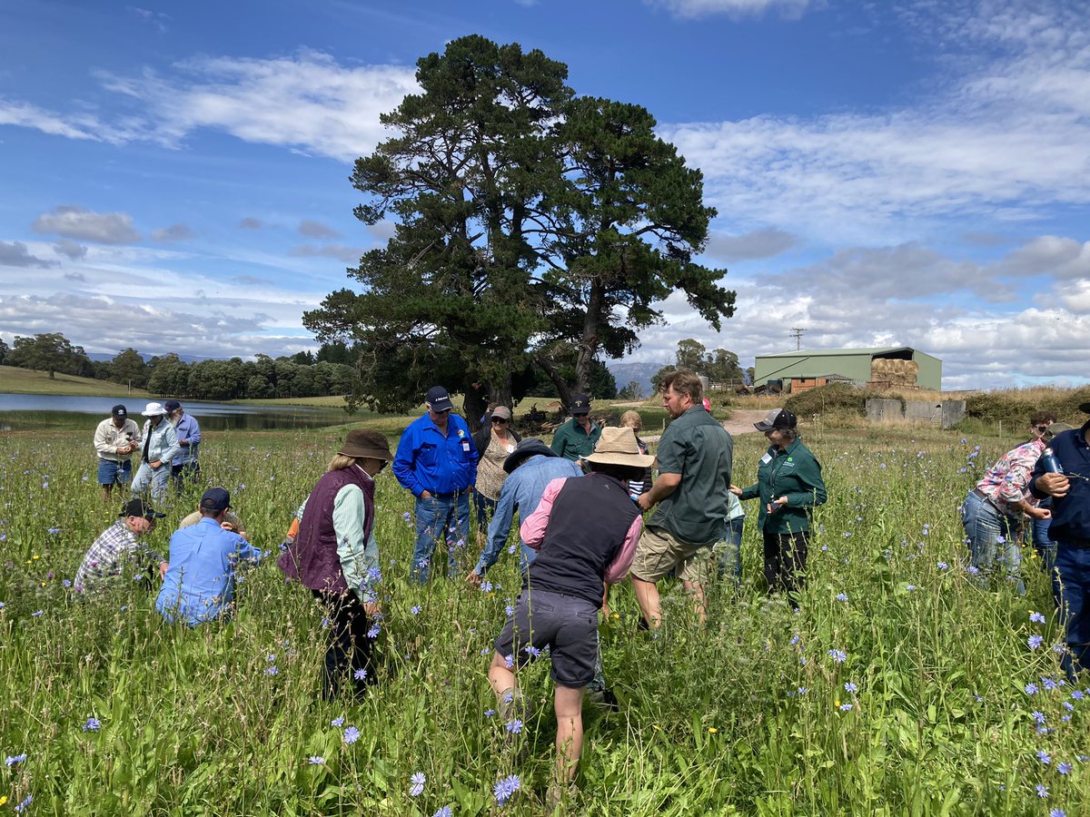 Johan Barendregt tweet media