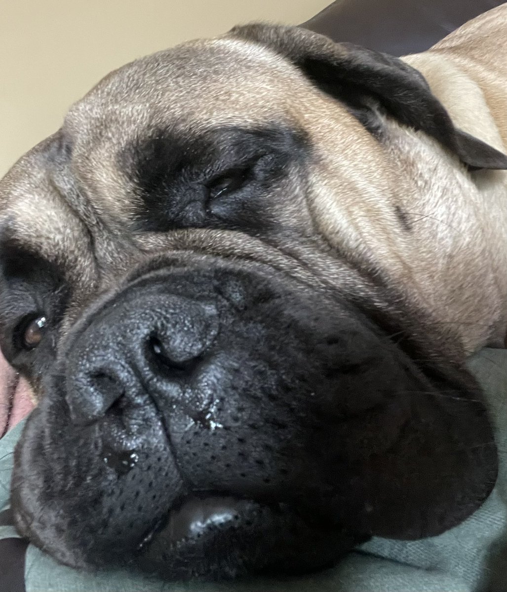 keithwrite_k's tweet image. Tired boy❤️