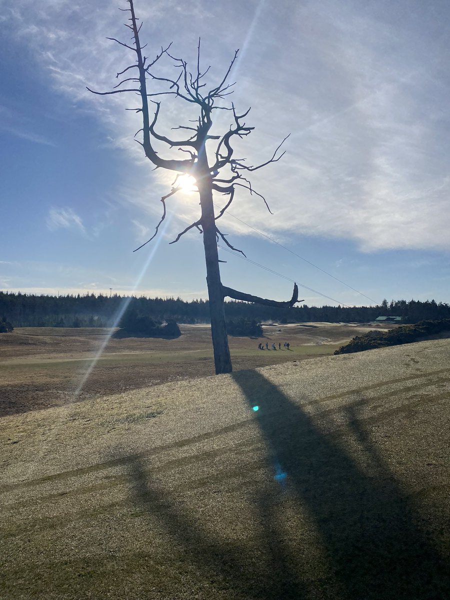 brewerdad1's tweet photo. @BandonDunesGolf And at dawn! https://t.co/wUUrta8dIE