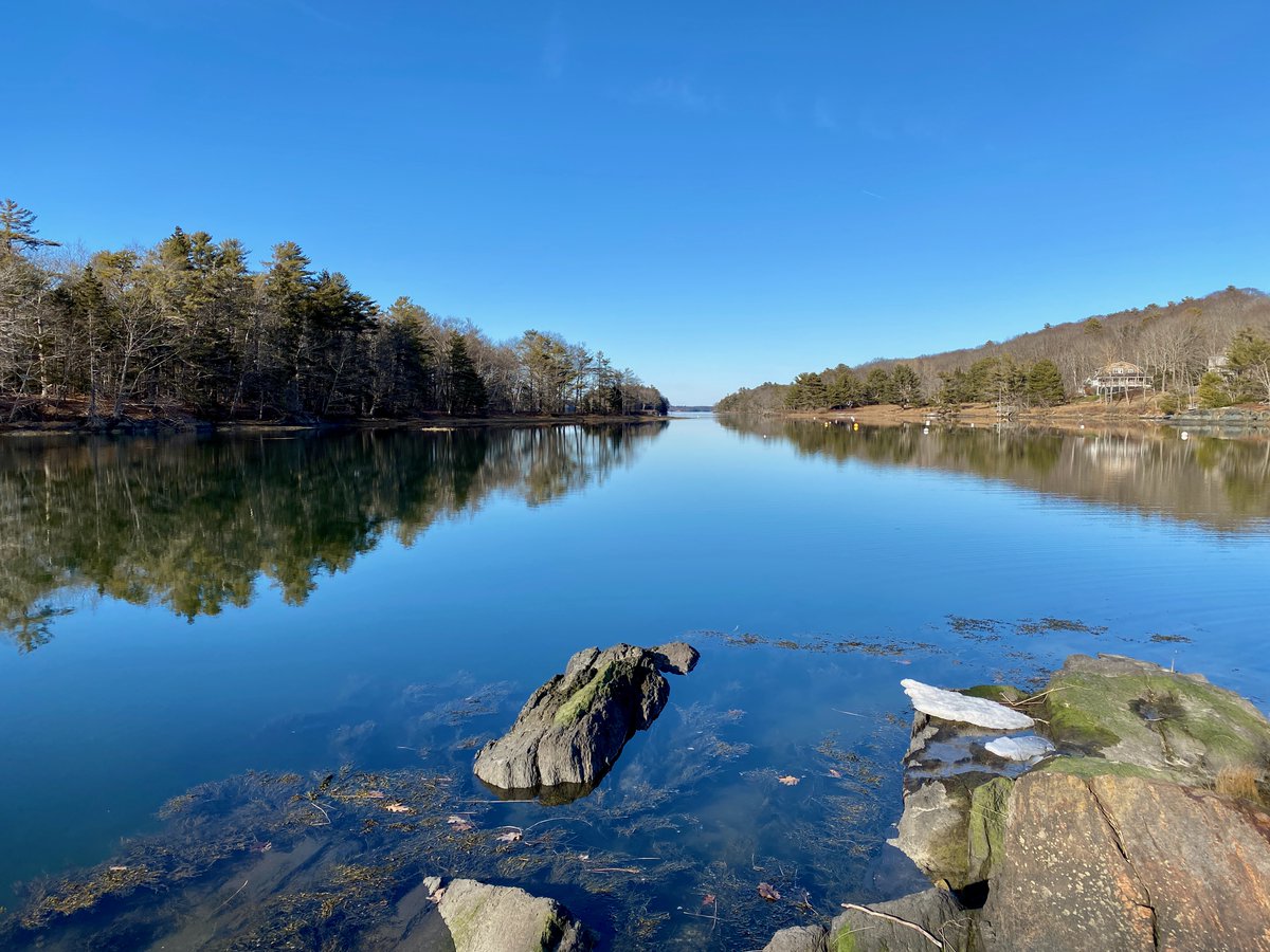 MonaLisaLvsHeah's tweet photo. 1/2 Sharing some scenic shots from Sunday and Monday near Bath, Maine while we chased down a big deal bird:

#bestdriverever #searchingforStella https://t.co/0BWJZSJR06